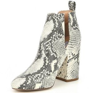Steve Madden Nayna Bootie in Snake Skin